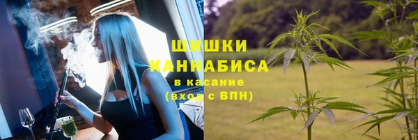 PSILOCYBIN Анива