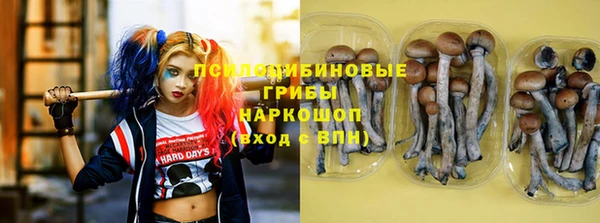 альфа пвп Арсеньев