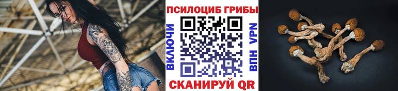 гидра   Железноводск  Псилоцибиновые грибы GOLDEN TEACHER 